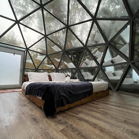 Quinta Do Abacate - Glamping Park Villa Angra do Heroísmo Eksteriør billede