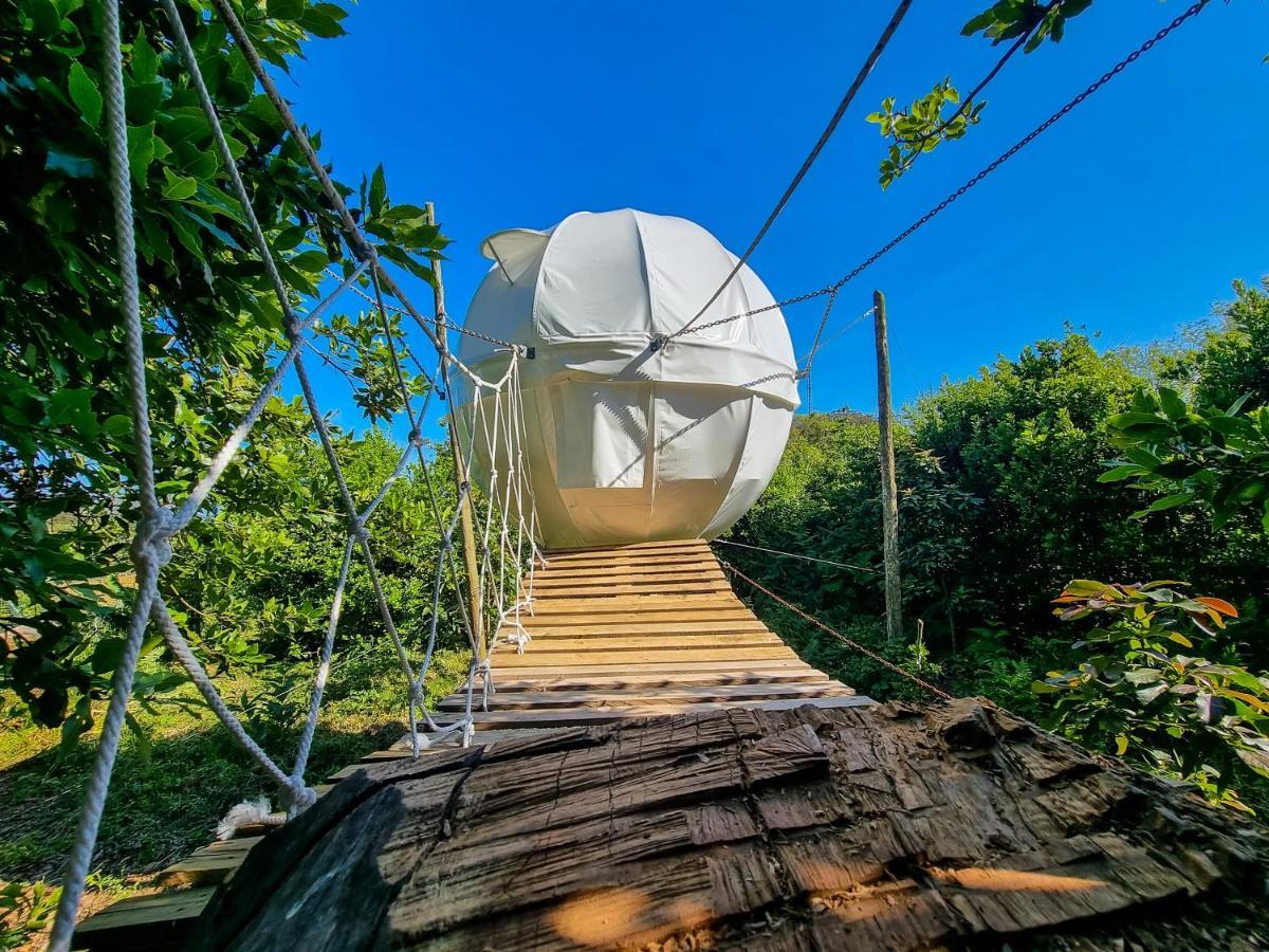 Quinta Do Abacate - Glamping Park Villa Angra do Heroísmo Eksteriør billede