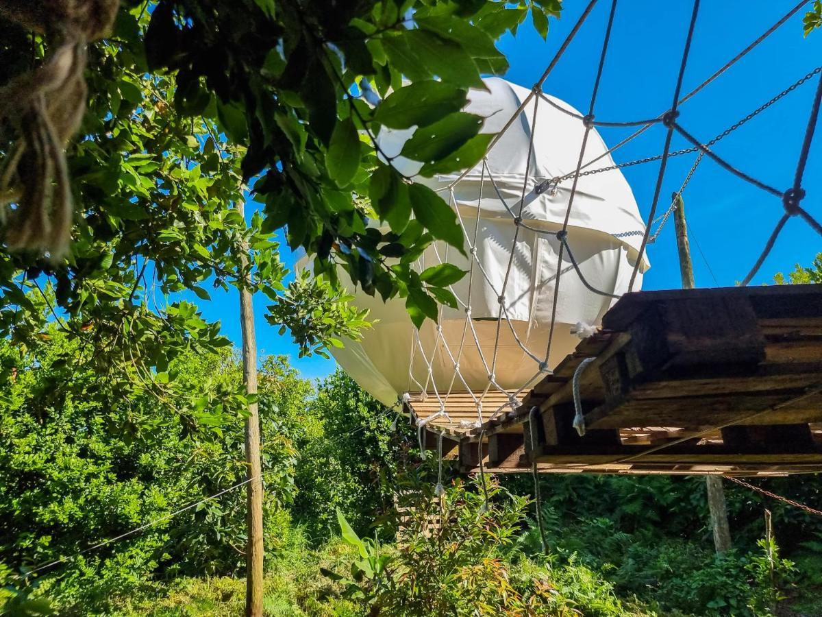 Quinta Do Abacate - Glamping Park Villa Angra do Heroísmo Eksteriør billede