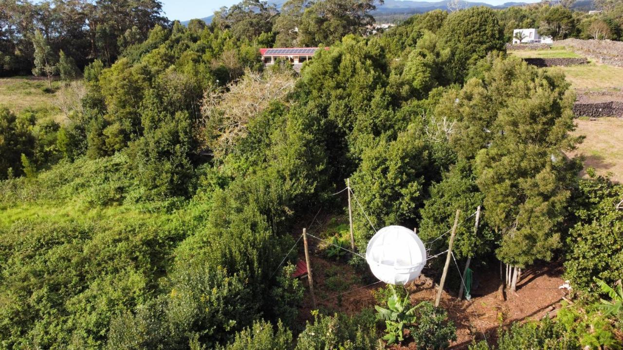 Quinta Do Abacate - Glamping Park Villa Angra do Heroísmo Eksteriør billede
