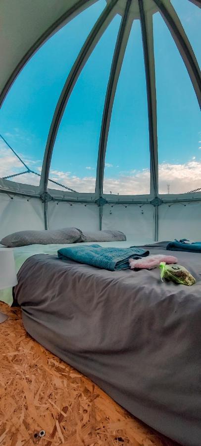 Quinta Do Abacate - Glamping Park Villa Angra do Heroísmo Eksteriør billede