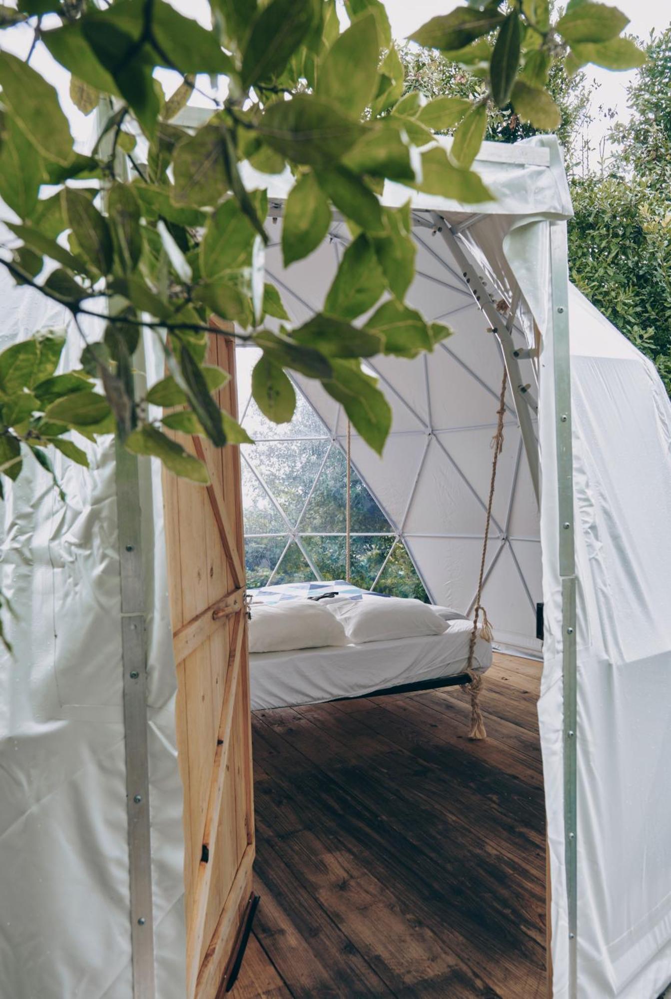 Quinta Do Abacate - Glamping Park Villa Angra do Heroísmo Eksteriør billede